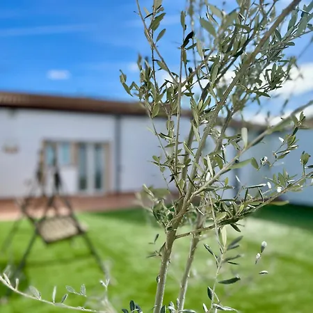 La Casica De Monreal * Monreal del Campo