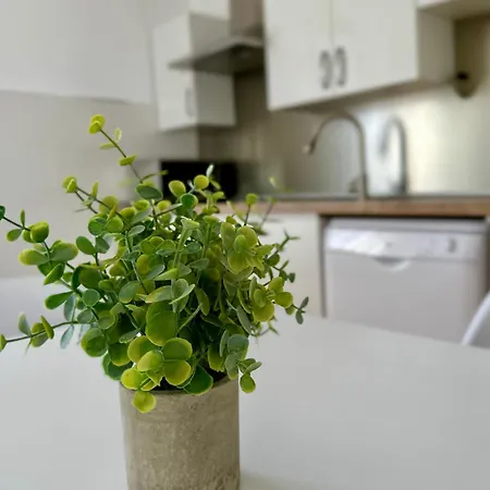 La Casica De Monreal Apartment *